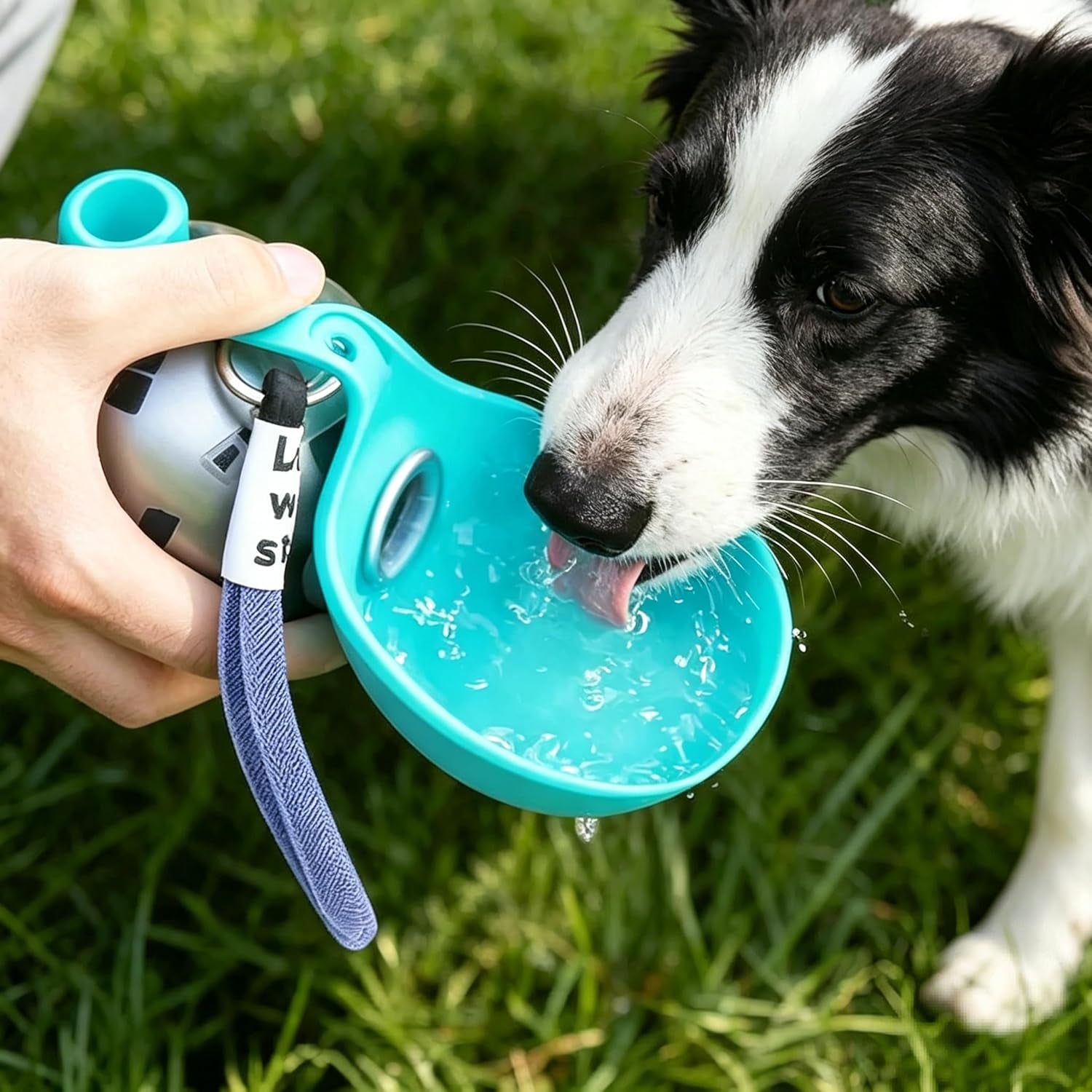 Stay Hydrated On-the-Go: 2-in-1 Portable Dog Water Bottle & Bowl - 10oz Stainless Steel Dispenser with No-Spill Design for Small to Medium Dogs (Blue A)